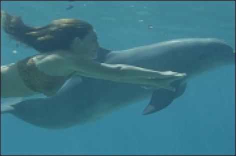 4601773334a5454807087l